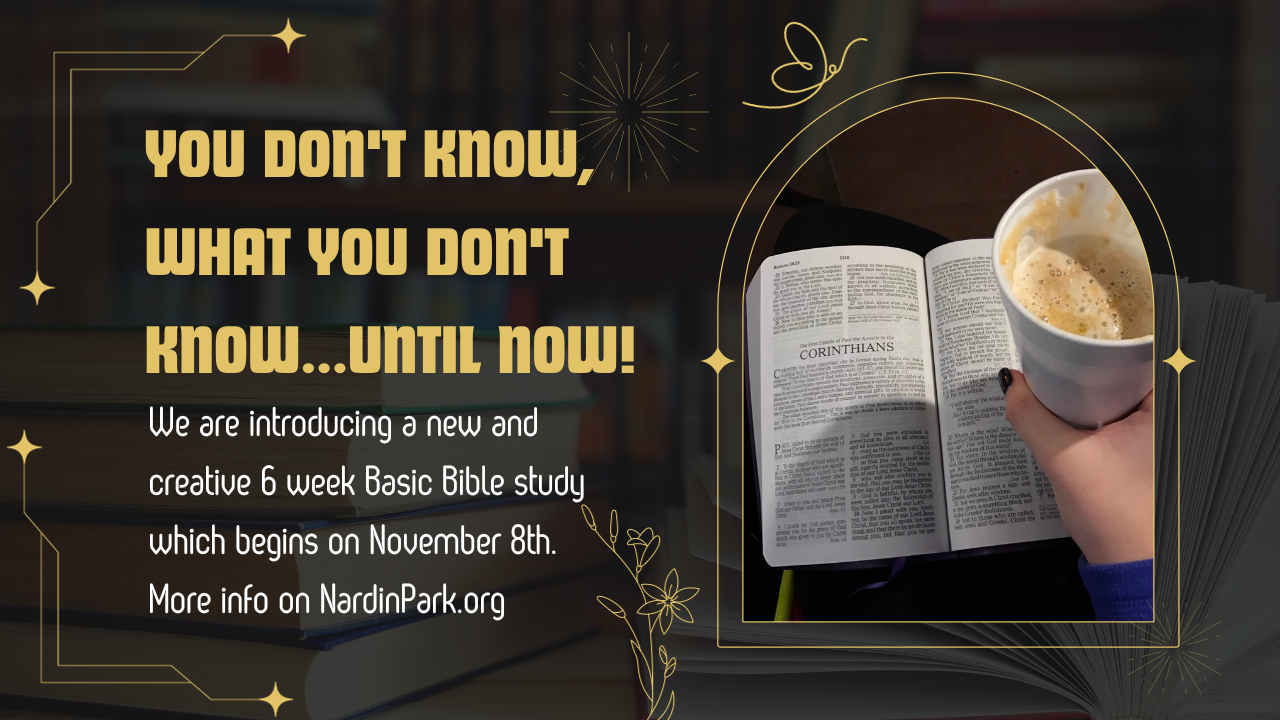 announcements (4) copy 3